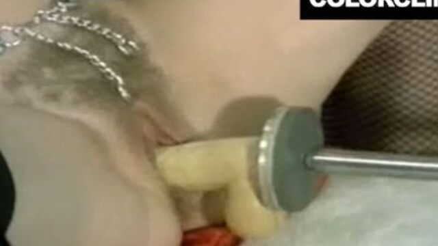 Pin-up madam's lesbian xxx