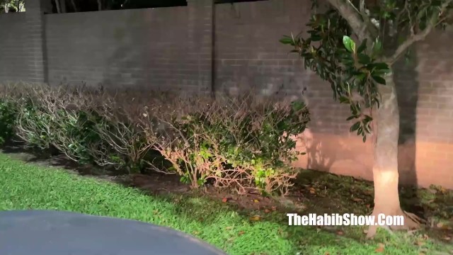 The Habib Show presenta film indietro con scopamica