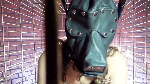 Assista filme da amadora Dani Daniels