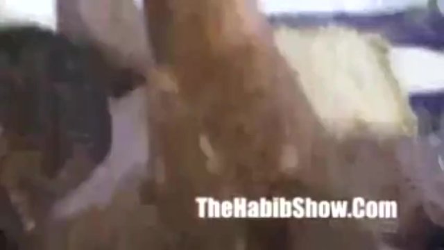 Amador sexo com balanceada piriguete do The Habib Show