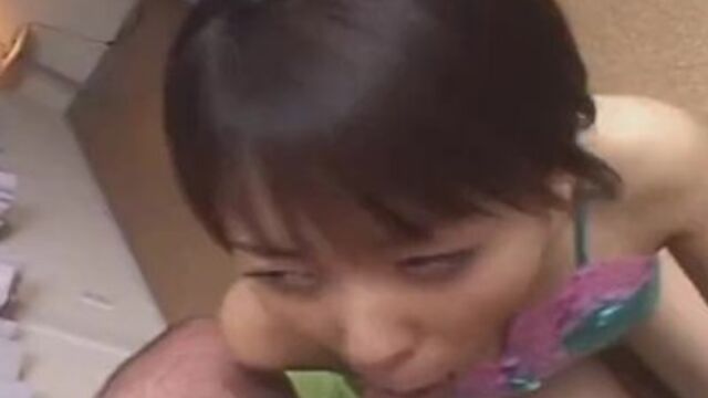 Avidol Z présente sexe faciale de nympho