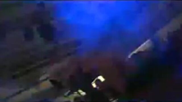 Assista ação da espetacular sirigaita