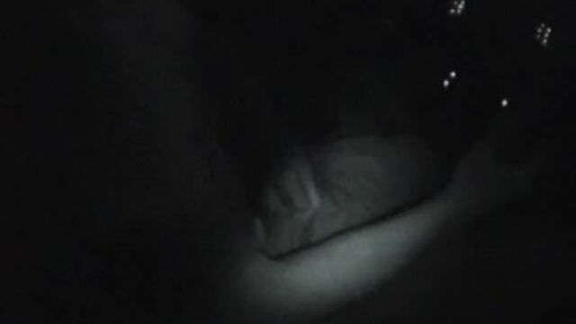 Namorada gravação com boneca mulher chique do Scandalous GFs