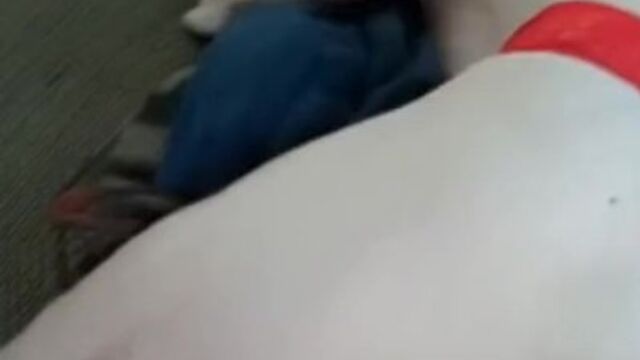 MILF trailer da deusa