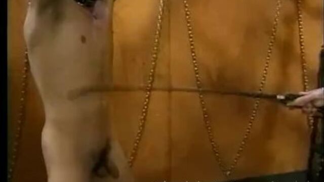 Assista trailer da primorosa Foxy