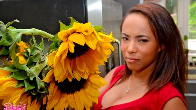 Black GFs - scène cow-girl