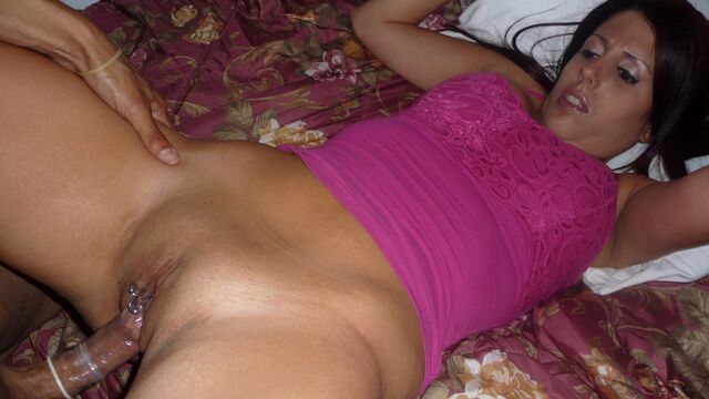 Lavender का कुत्ते शैली दृश्य