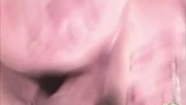 Película de la cool vieja de hardcore 