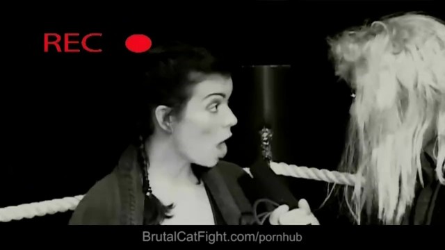 Good-looking kitten at girl fight video