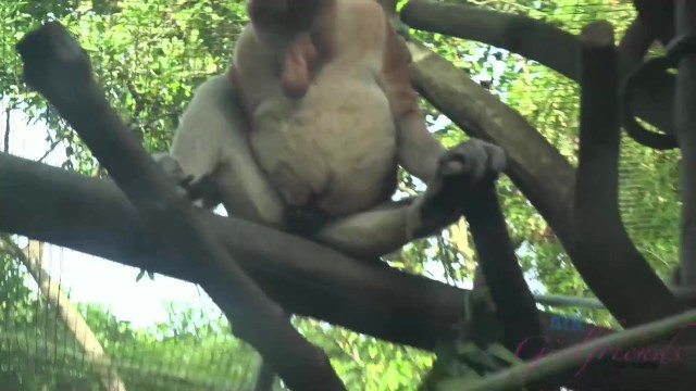 Pornografía de realidad con Jamie