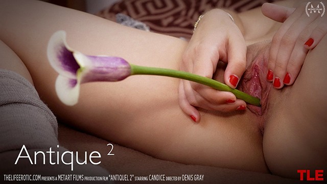 गीली चूत क्लिप TLE से बहुमूल्य मधु के साथ