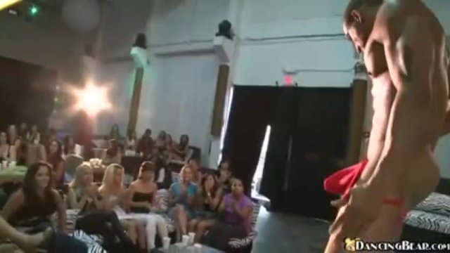 Sugar baby's party action by Dancing Bear