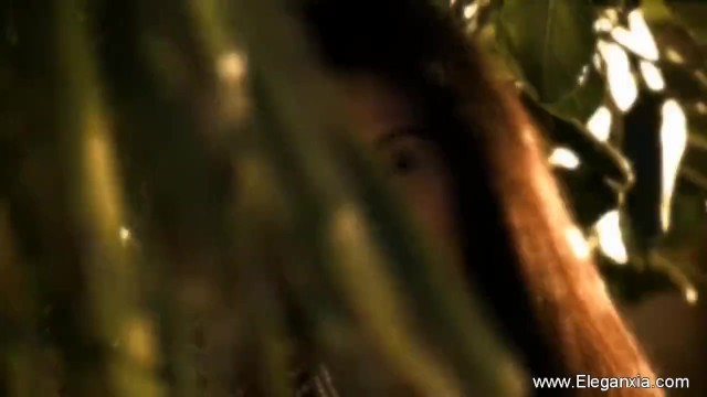 Porno stuzzicare con brillante traditrice