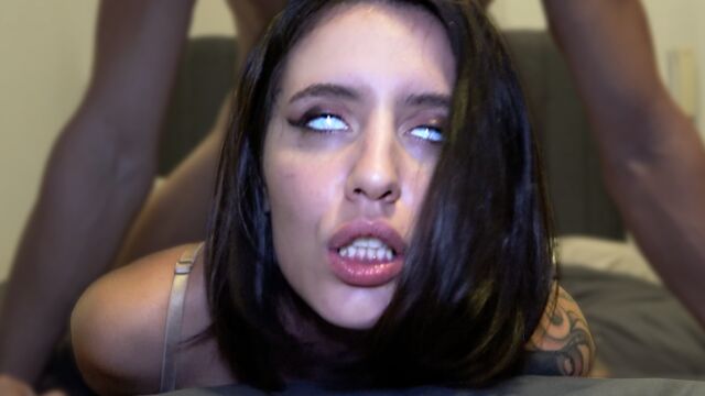 Verified Amateurs - morena gravação