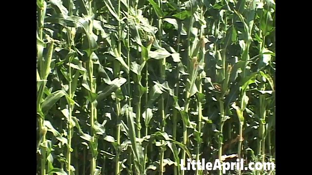 Good-looking Petite Blonde and Little April - solo female video - Little April