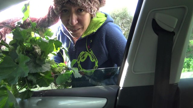 Verified Amateurs apresenta hd trailer da SouzanHalabi