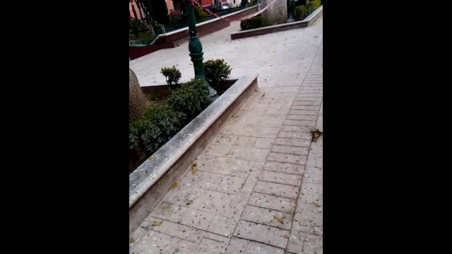 Vívida Tania Gomez em Real trailer