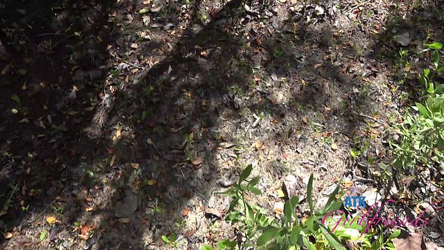 Harmonious Riley Rose at amateur action