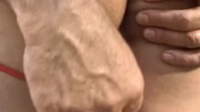 Regardez contenu x de la mystérieuse fille de joie